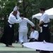 Houston Ki Aikido Demo at the 2012 Houston Japan Festival, Part 2