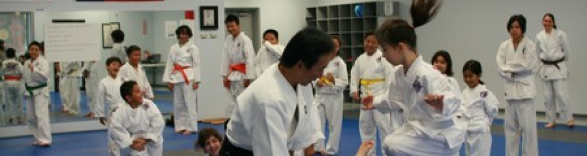 Aikido for Kids Spring Session